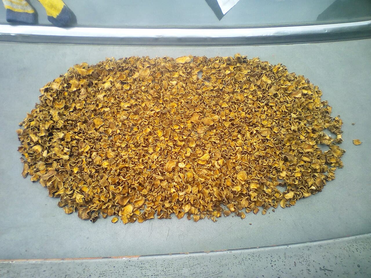 Drying & Sorting