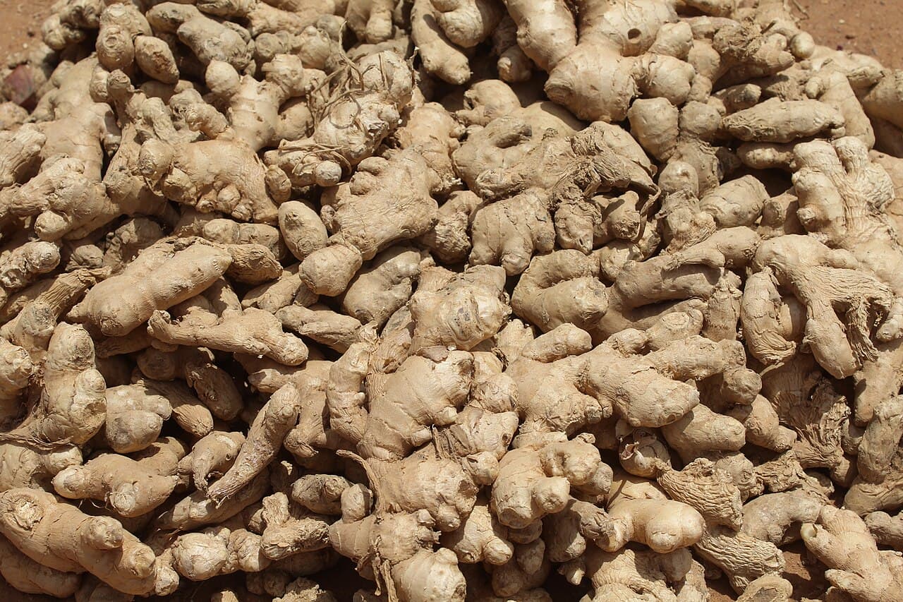 Indonesian ginger